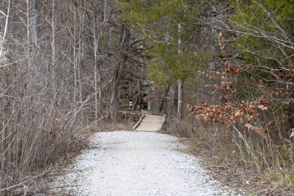 Bethel Spring Falls Alabama – Your Complete Hiking Guide Scenic snapshot along the Bethel Creek Loop Trail, showcasing lush surroundings.