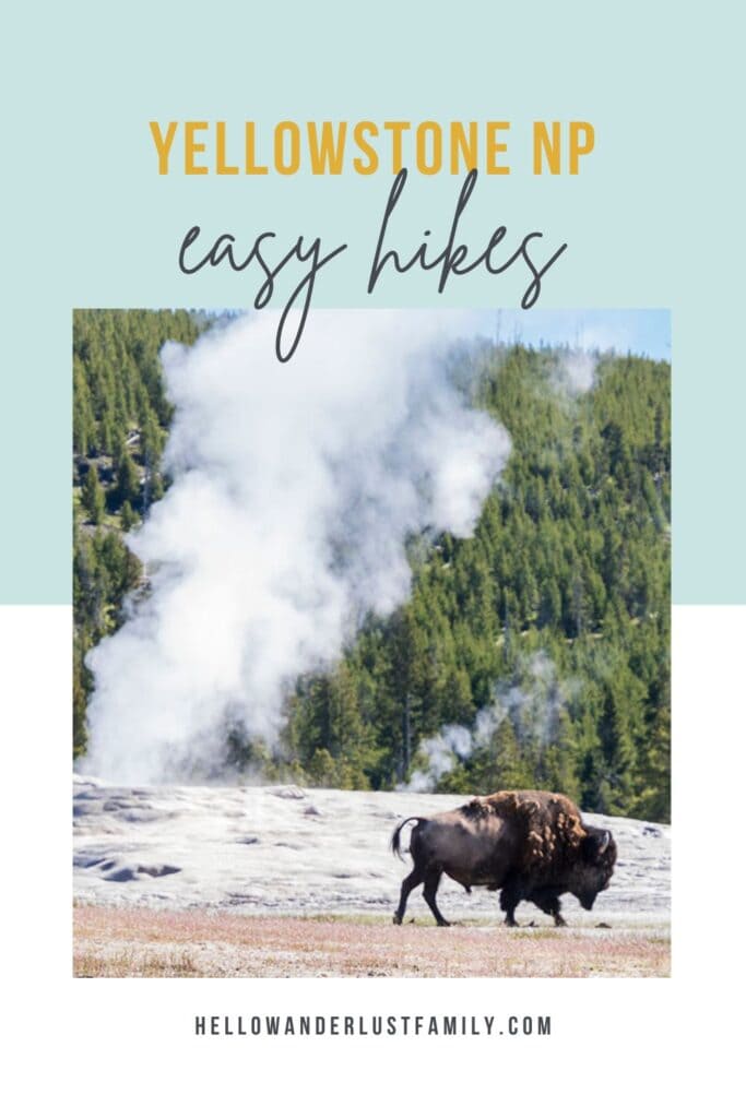 20 Easy Hikes In Yellowstone National Park You Don’t Want to Miss 20 Easy Hikes In Yellowstone National Park You Don’t Want to Miss easy yellowstone hikes