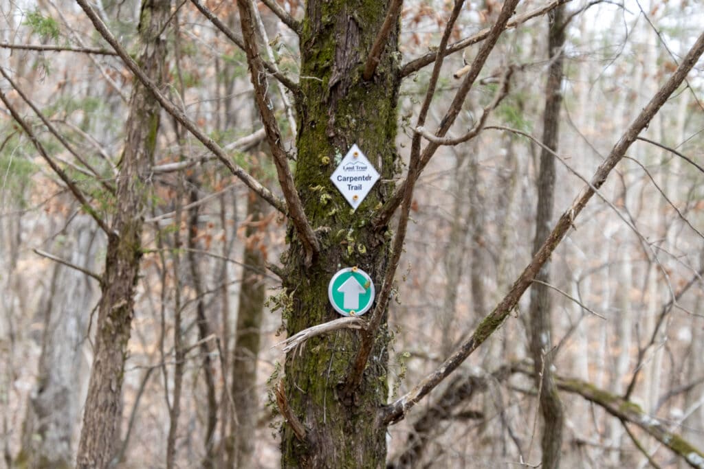 Bethel Spring Falls Alabama – Your Complete Hiking Guide Clear trail markers on trees, guiding the way through the scenic paths at Bethel Spring Nature Preserve.
