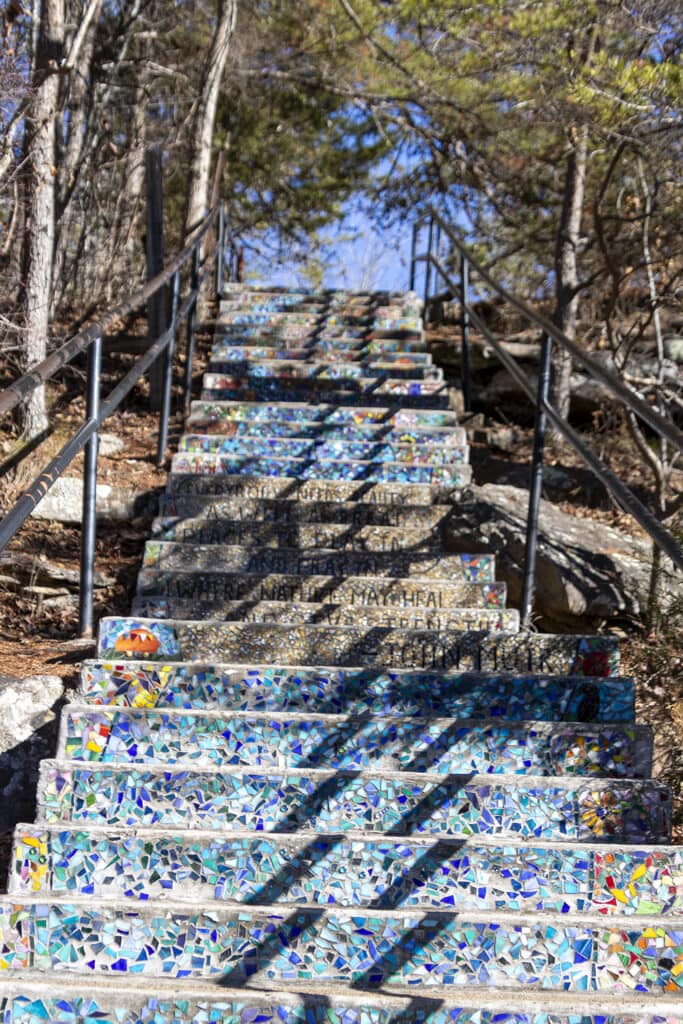 Hiking Desoto Falls? Here’s What You Need to Know Hiking Desoto Falls? Here’s What You Need to Know desoto falls stairs