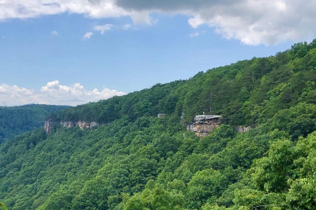 Endless Wall Trail Guide: Trail Tips, Parking, and Scenic Overlooks A section of the Endless Wall, towering sandstone cliffs surrounded by lush green trees in New River Gorge National Park.