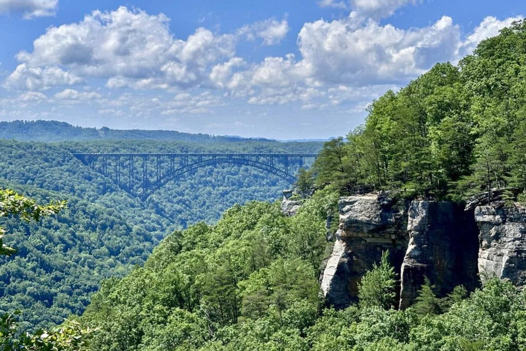 Endless Wall Trail Guide: Trail Tips, Parking, and Scenic Overlooks View from the Endless Wall Trail overlooking the New River Gorge, with the winding New River and the New River Gorge Bridge in the distance, framed by towering sandstone cliffs and lush forest.