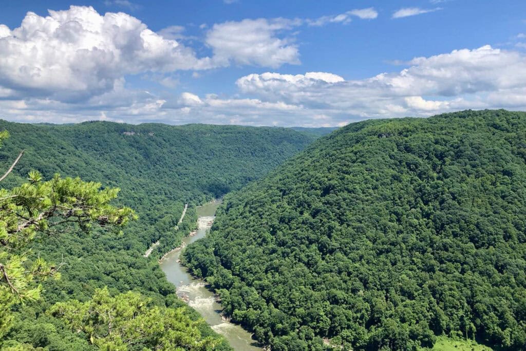 Endless Wall Trail Guide: Trail Tips, Parking, and Scenic Overlooks A stunning view of the New River winding through the lush green forest, captured from the Endless Wall Trail in New River Gorge National Park.