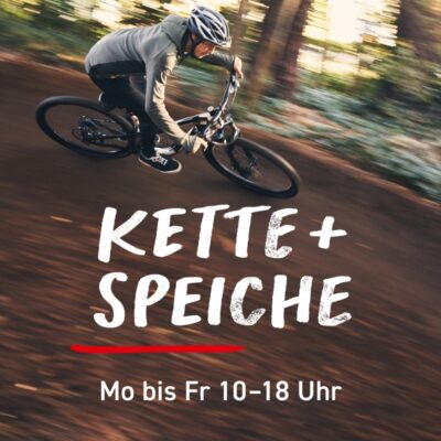 Kette & Speiche - Radsport Bert Radfahrer beim Mountainbiken im Wald, Fokus auf Geschwindigkeit.