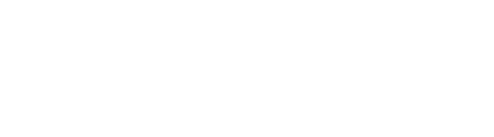 Vameon logo in white on a black background.