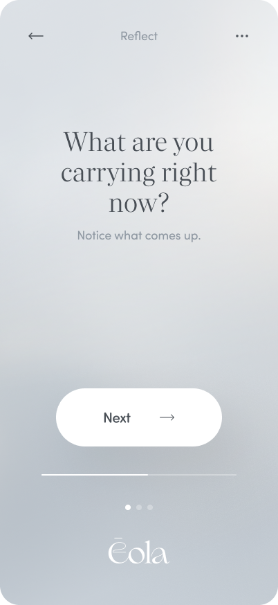 A mobile app screen with a question 'What are you carrying right now?' and a 'Next' button at the bottom.