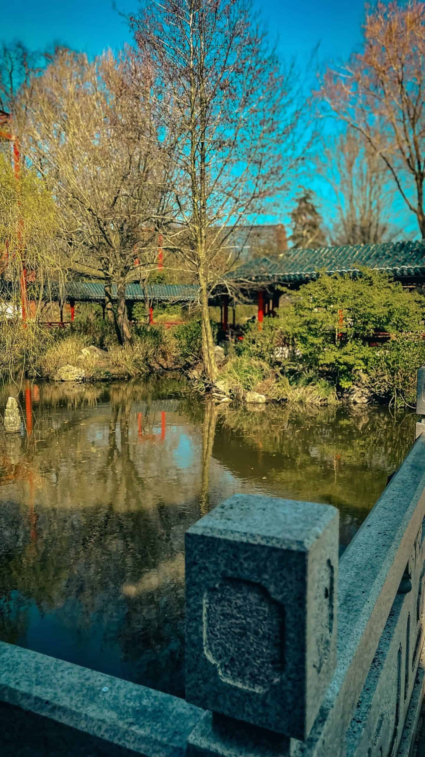 Serene spring scene at Pairi Daiza with trees and a pond.