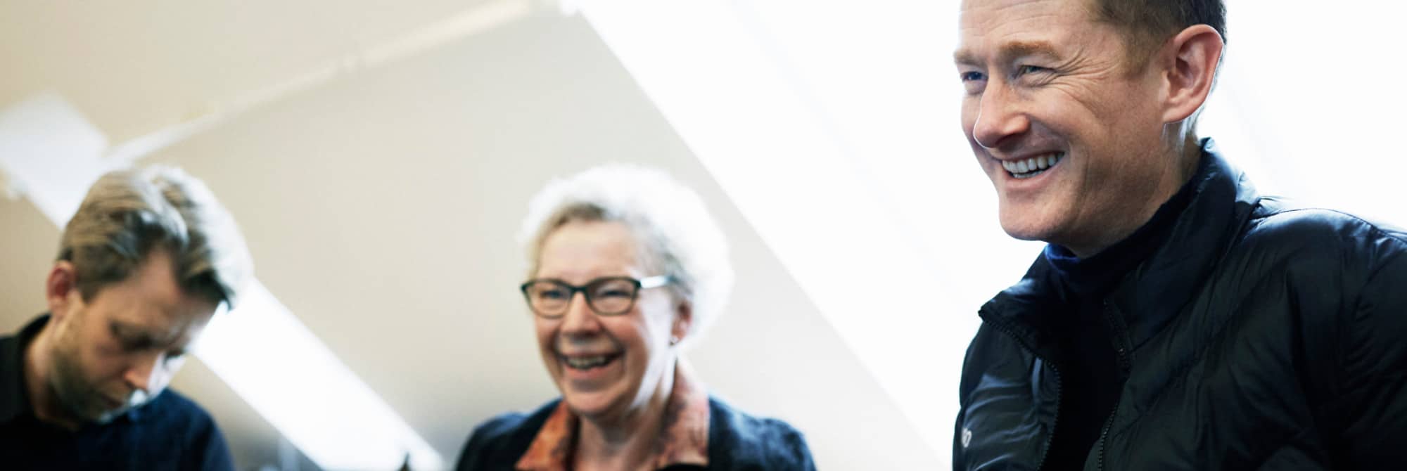 Den offentllige sektor