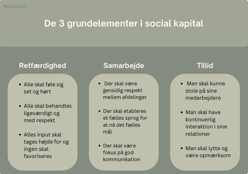 De tre grundelementer i social kapital