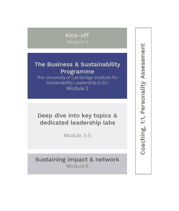 Global Executive Leadership Programme - Programme structure and content