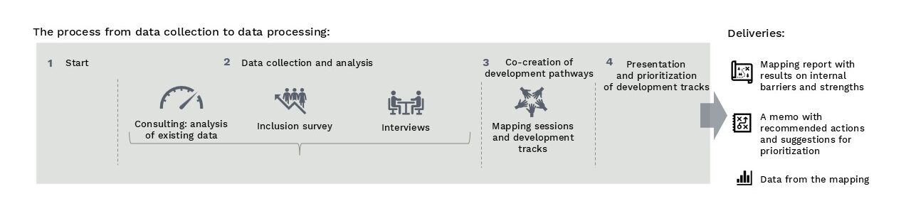 DEI mapping