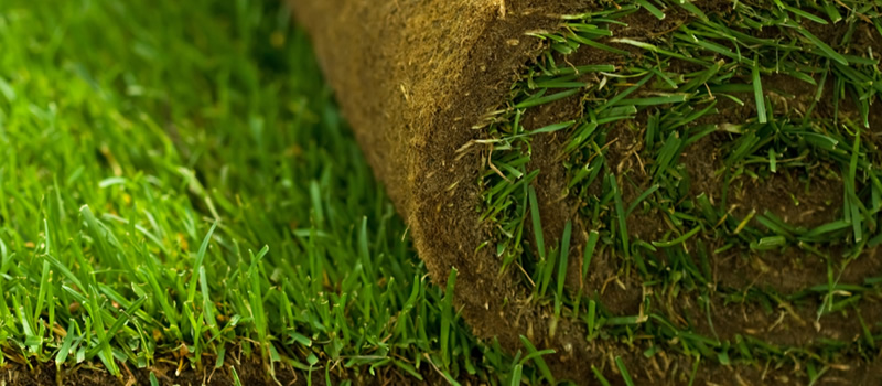 Turfing