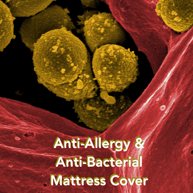 Anti-allergy & Anti-bacterial Mattress protector