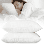 Micro Fibre Pillow Pair