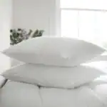 Premium Cotton Covered Pillow Pair