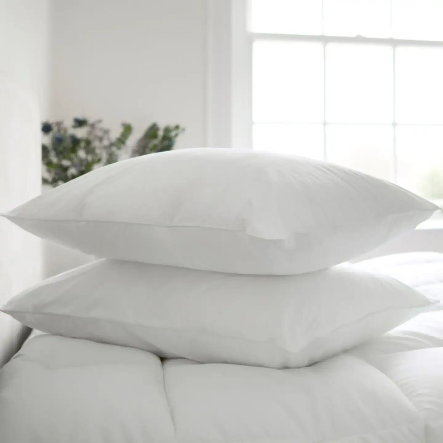 Premium Cotton Covered Pillow Pair