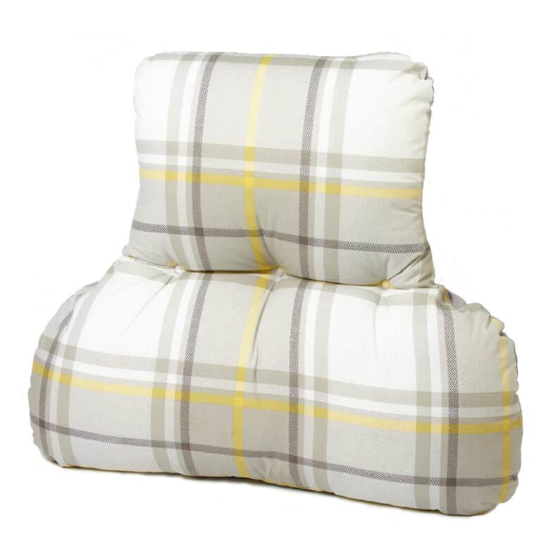 Back support cushion