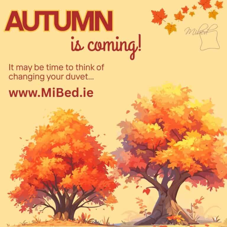 Orange and Yellow Illustrated Autumn Season Instagram Post (Facebook Post (Square))
