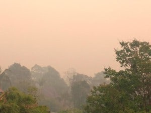 Bush Fires NSW
