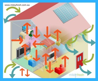 dust movement house