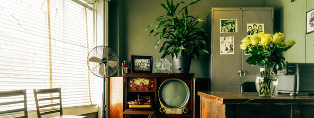 Bright, healthy living room with natural light, good ventilation, comfortable furnishings and a calm indoor environment.