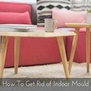 Mitey-Fresh-How-to-get-rid-of-indoor-mould