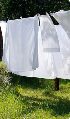 Cotton Sheets & Pillowcases - Image 7