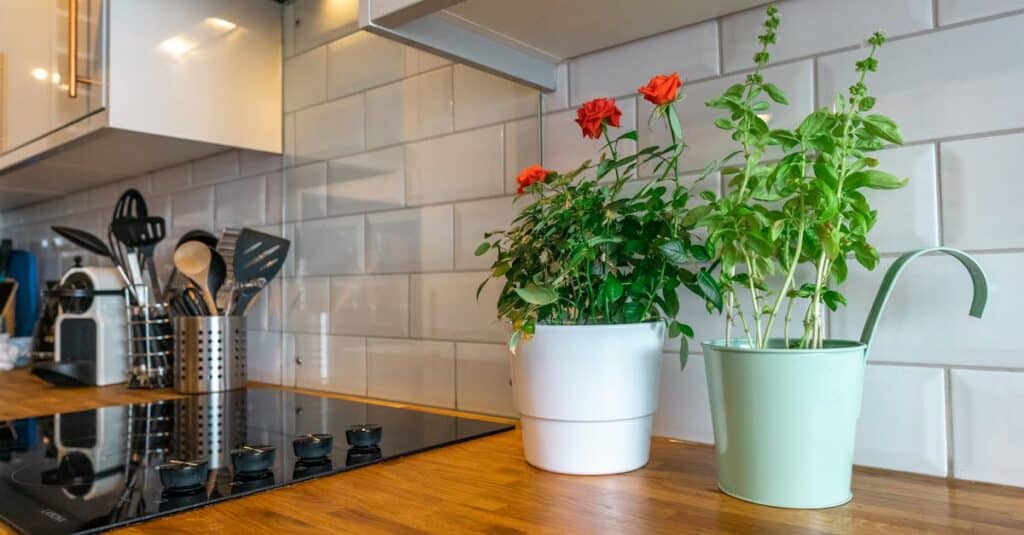 Stale air trapped inside a home contributing to lingering odours