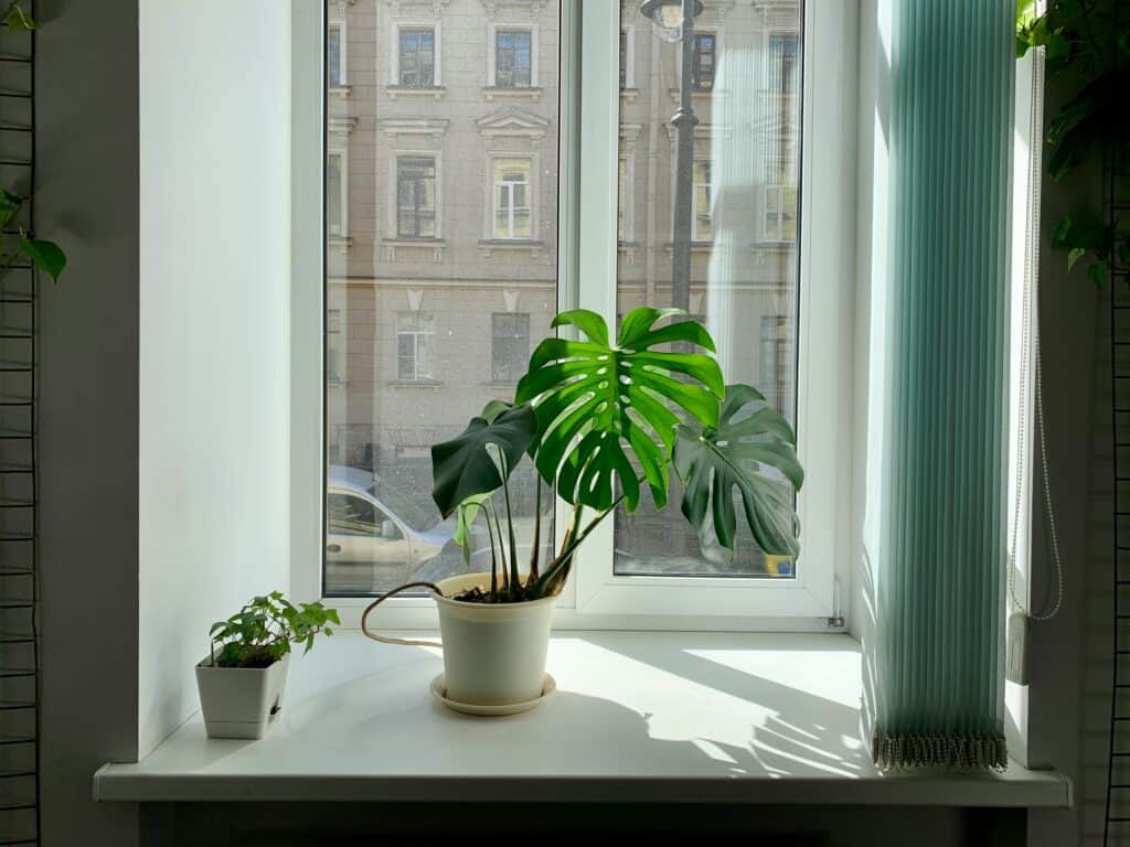 Bright living room with clean air and natural light supporting indoor air quality