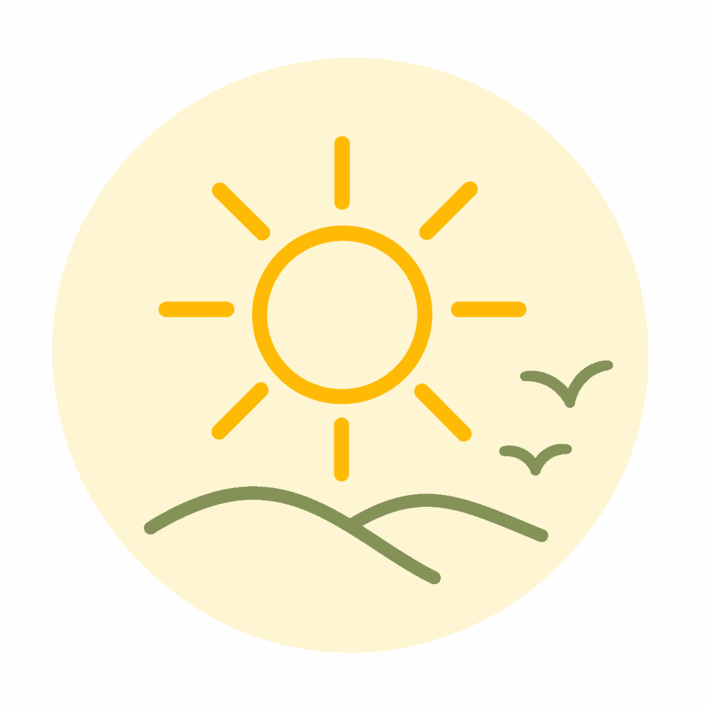 Summer sun icon representing the Summer Healthy Home season