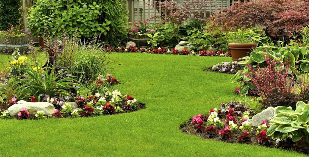 softscaping toronto my landscapers landscaping sodding lawn care flower beds trees shrubs north york markham