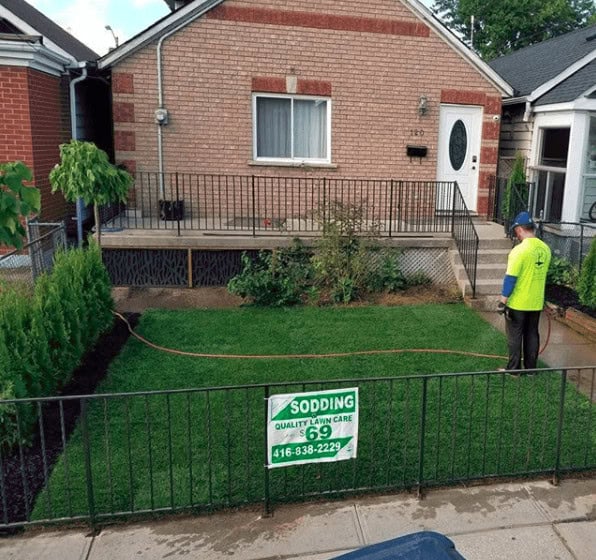 New sod grass lawn and watering by My Landscapers, lawn care services.