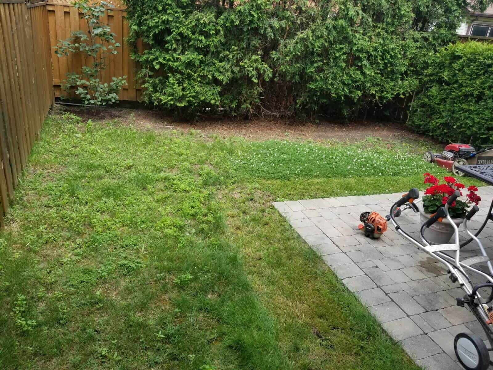 project gallery images
