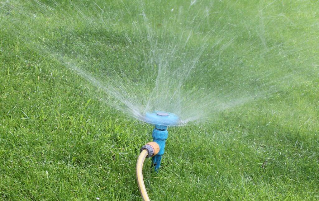 Sprinkler watering lush green lawn, illustrating effective watering techniques for healthy grass care.