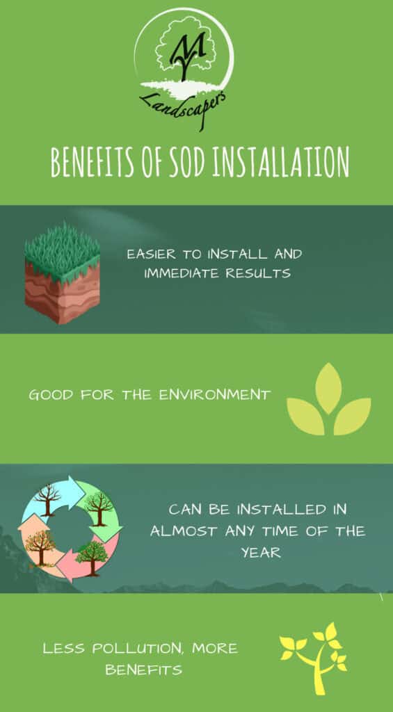 infograph that summarize the post