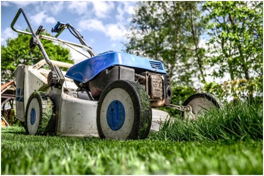 drought stress damage