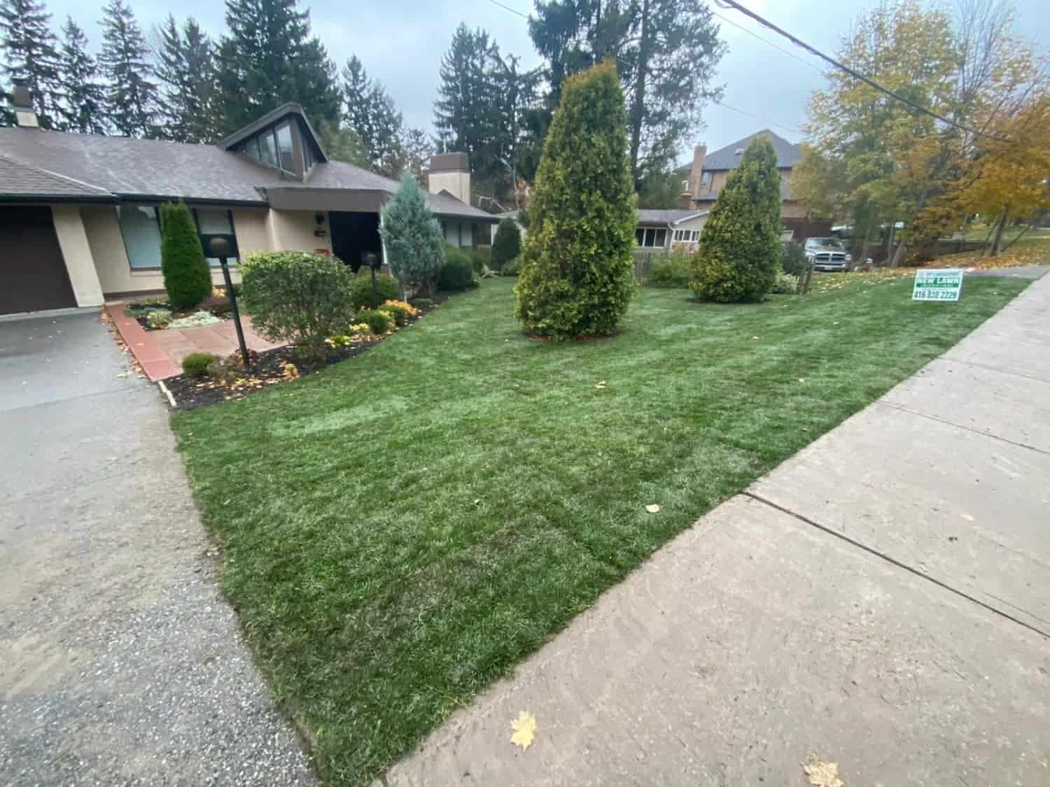 After My Landscapers After My Landscapers