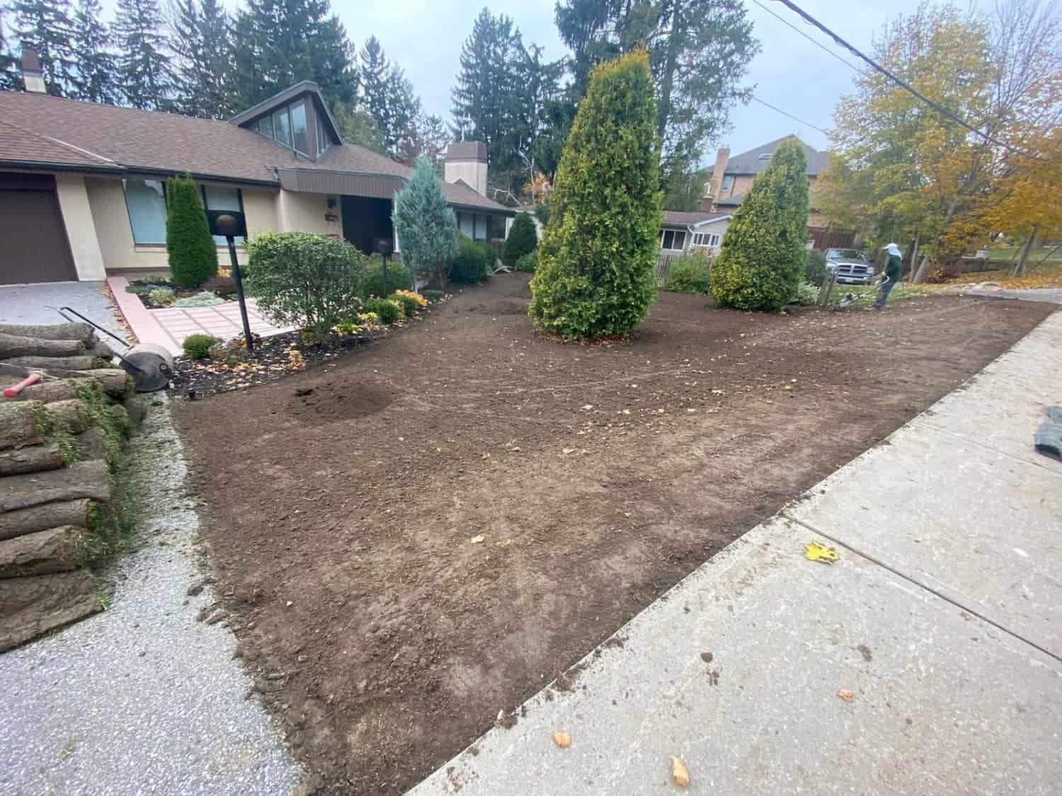Before My Landscapers Before My Landscapers