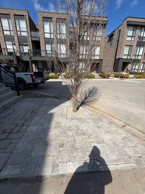 front yard interlocking after front yard interlocking after