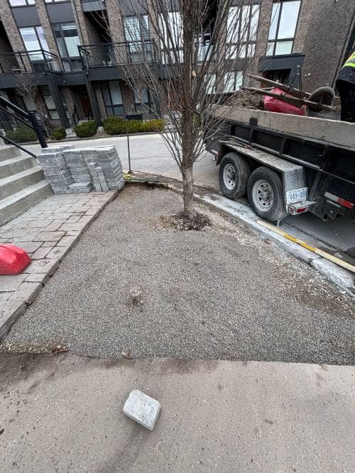 front yard interlocking before front yard interlocking before