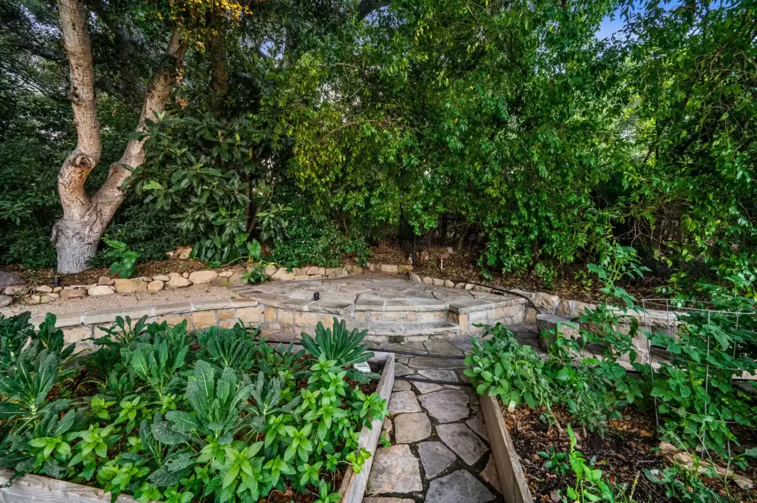 expert landscaping tips