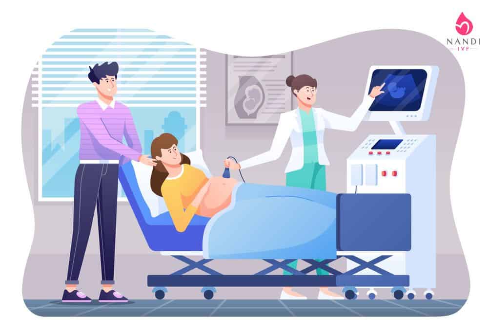 Fertility ultrasound procedure with doctor and patient in clinic.