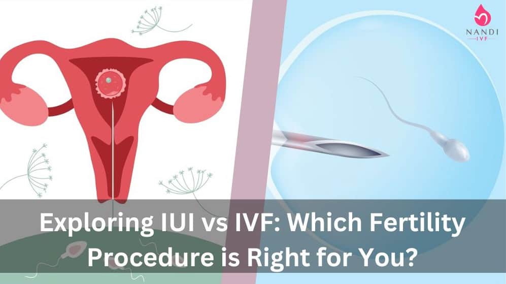 Comparison of IUI and IVF fertility treatments with medical illustrations.