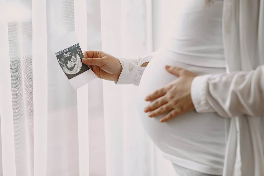 Embryo Transfer