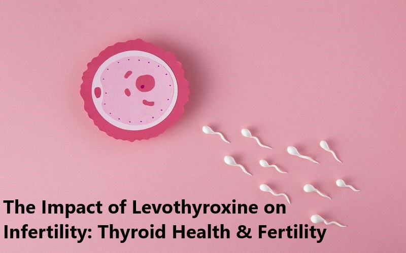 The Impact of Levothyroxine on Infertility: Thyroid Health & Fertility