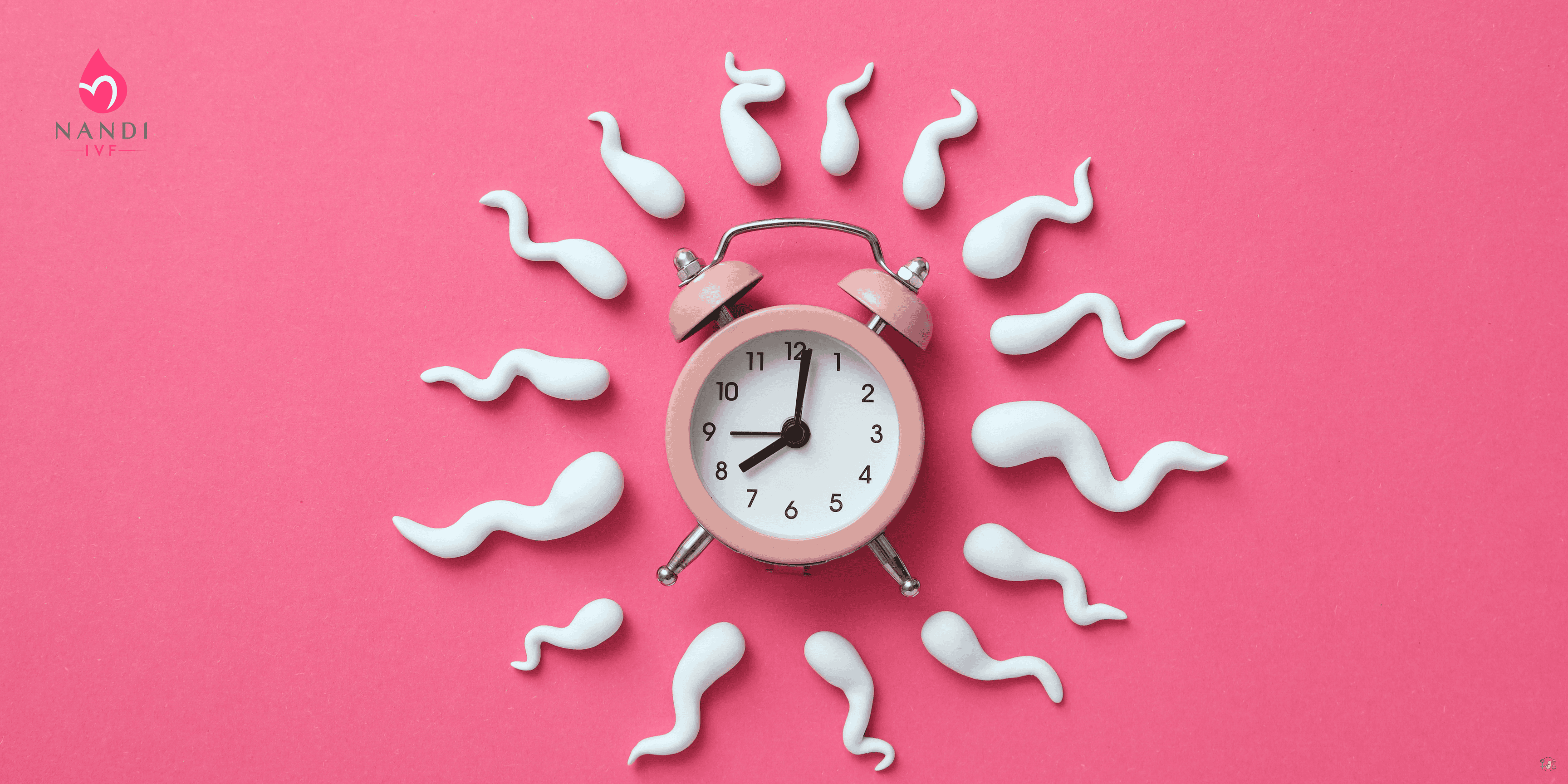 Understanding the Decline in Women’s Egg Count