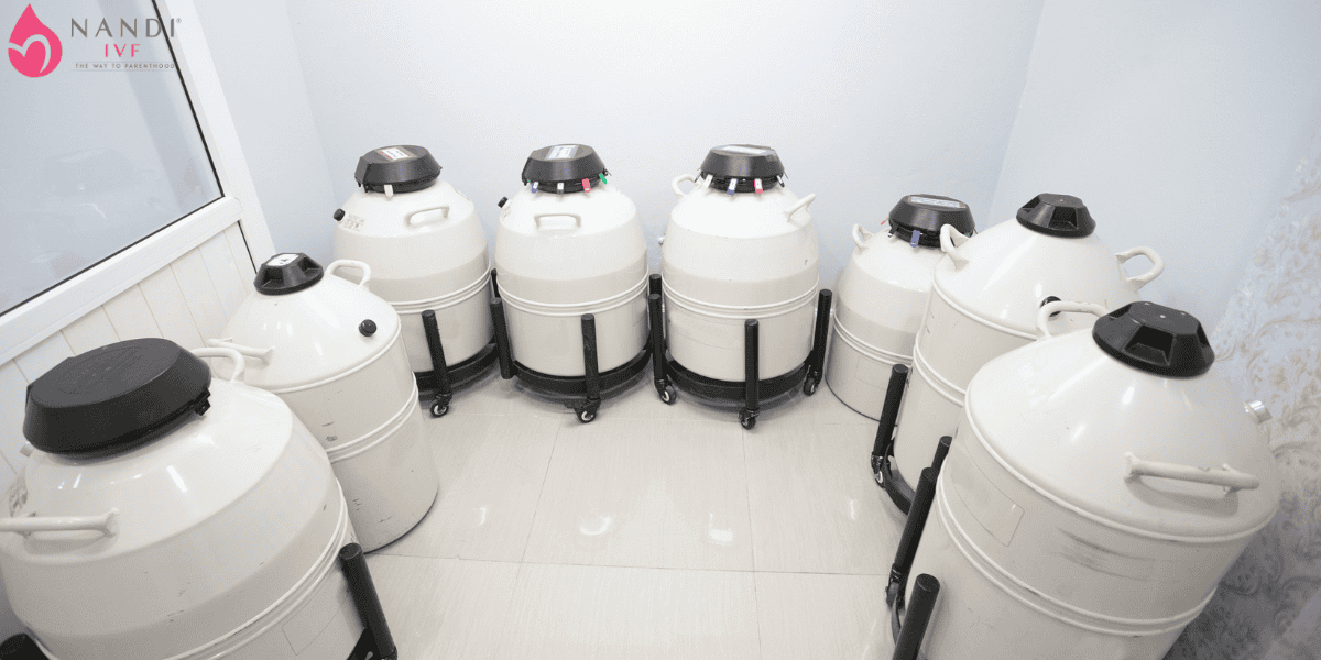 Social Egg Freezing 