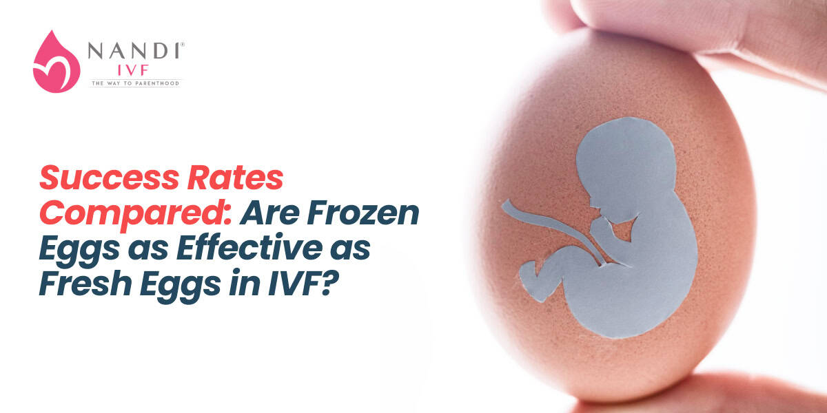 Are Frozen Eggs  by IVF procedure in Delhi  as effective?