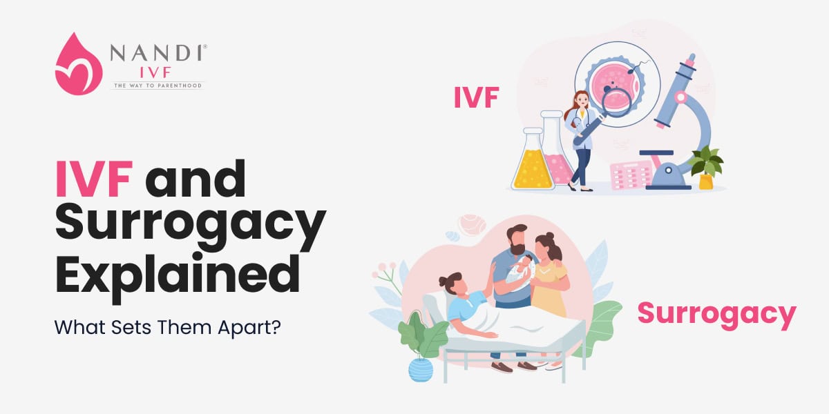 IVF and Surrogacy Explained: What Sets Them Apart?
