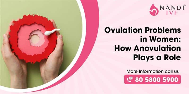 Ovulation Problems In Women: What Is Anovulation And Its Treatments